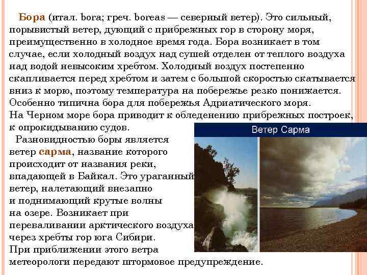 Признаки ветра. Доклад о ветре. Сообщение про ветер Бора. Сообщение о сильном ветре. Доклад о сильном ветре.