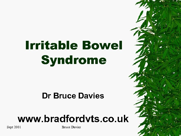 Irritable Bowel Syndrome Dr Bruce Davies www. bradfordvts. co. uk Sept 2001 Bruce Davies