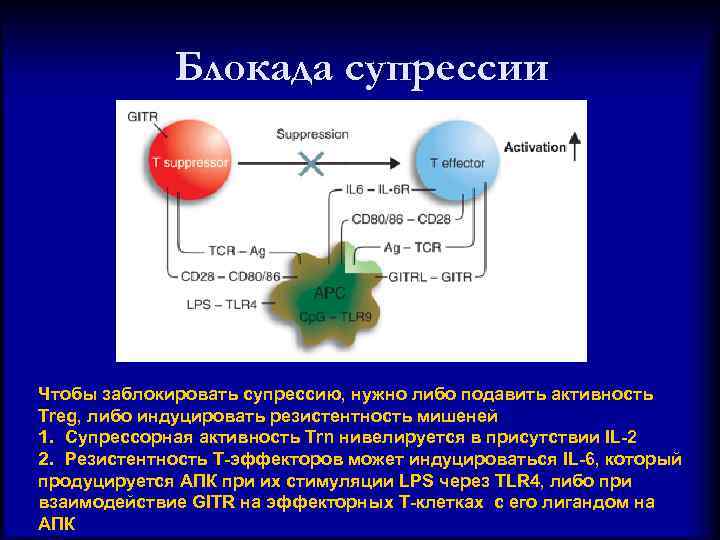 Блокада супрессии Чтобы заблокировать супрессию, нужно либо подавить активность Treg, либо индуцировать резистентность мишеней