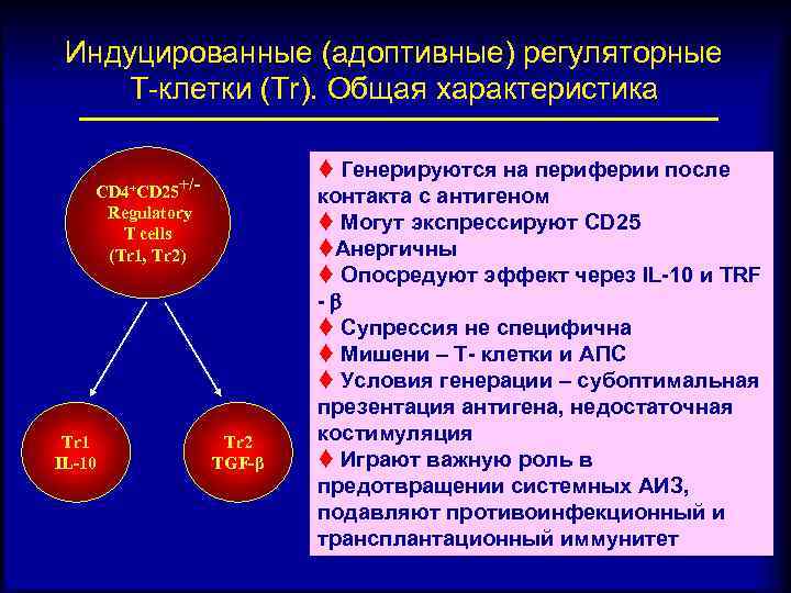 Индуцированные (адоптивные) регуляторные Т-клетки (Tr). Общая характеристика CD 4+CD 25+/Regulatory T cells (Tr 1,