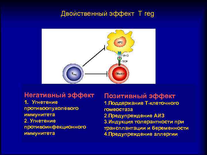 Двойственный эффект T reg Негативный эффект 1. Угнетение противоопухолевого иммунитета 2. Угнетение противоинфекционного иммунитета