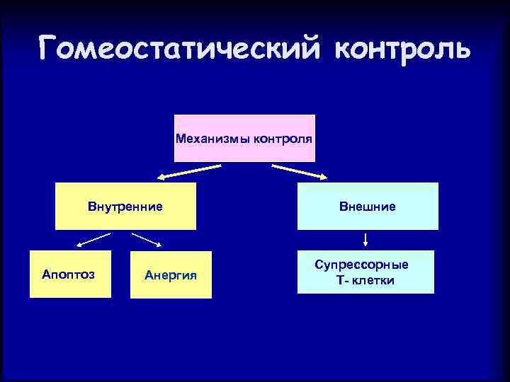 Гомеостатический контроль Механизмы контроля Внутренние Апоптоз Анергия Внешние Супрессорные Т- клетки 