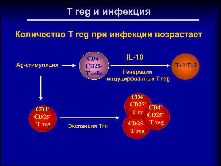T reg и инфекция Количество T reg при инфекции возрастает Ag-стимуляция CD 4+ CD