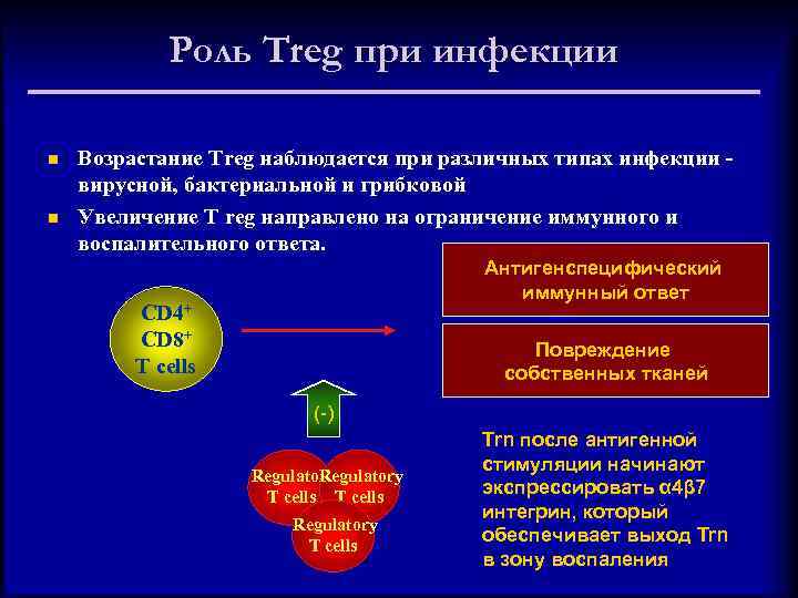 Роль Treg при инфекции n n Возрастание Treg наблюдается при различных типах инфекции вирусной,