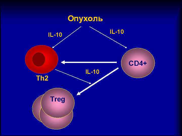 Опухоль IL-10 CD 4+ Th 2 Treg IL-10 