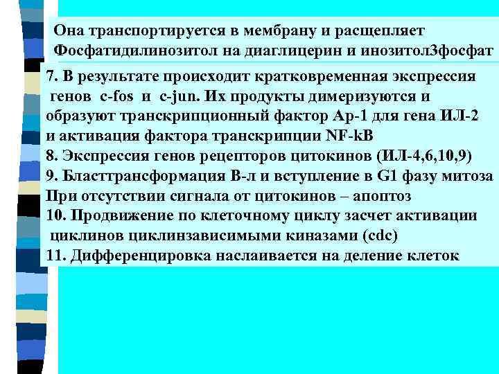 Она транспортируется в мембрану и расщепляет Фосфатидилинозитол на диаглицерин и инозитол 3 фосфат 7.