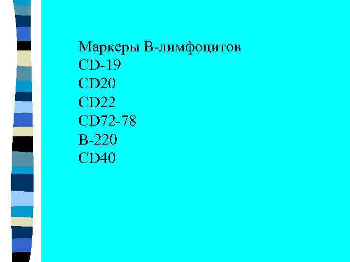 Маркеры В-лимфоцитов СD-19 CD 20 CD 22 CD 72 -78 B-220 CD 40 