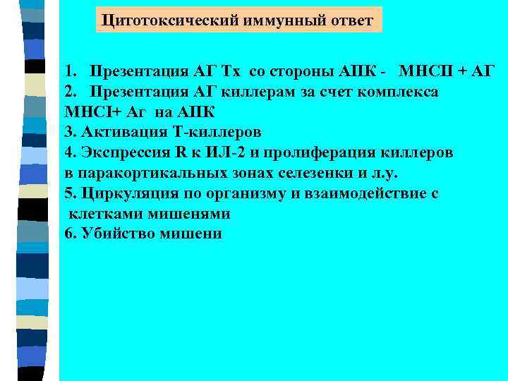 Цитотоксический иммунный ответ 1. Презентация АГ Тх со стороны АПК - МНСII + АГ