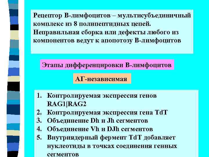 Рецептор В-лимфоцитов – мультисубъединичный комплекс из 8 полипептидных цепей. Неправильная сборка или дефекты любого