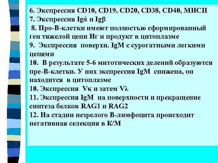 6. Экспрессия CD 10, CD 19, CD 20, CD 38, CD 40, MHCII 7.