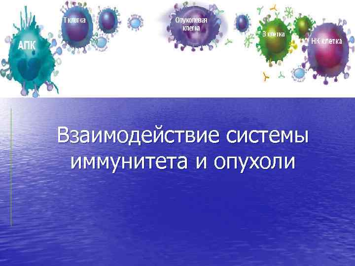 Взаимодействие системы иммунитета и опухоли 