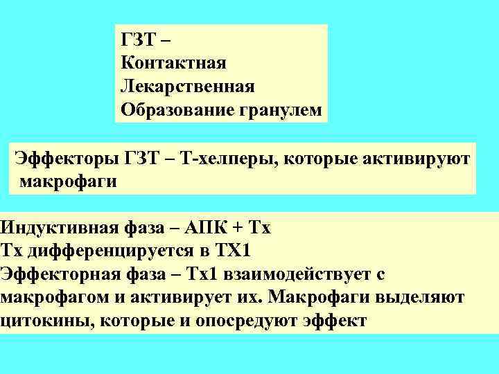 ГЗТ – Контактная Лекарственная Образование гранулем Эффекторы ГЗТ – Т-хелперы, которые активируют макрофаги Индуктивная