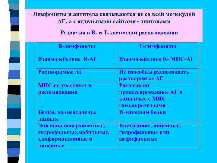 Лимфоциты и антитела связываются не со всей молекулой АГ, а с отдельными сайтами -