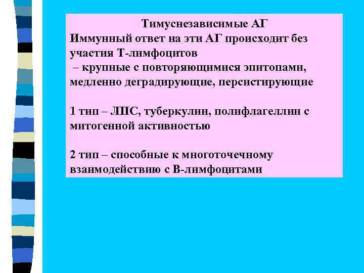 Тимуснезависимые АГ Иммунный ответ на эти АГ происходит без участия Т-лимфоцитов – крупные с