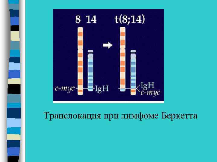 Транслокация при лимфоме Беркетта 