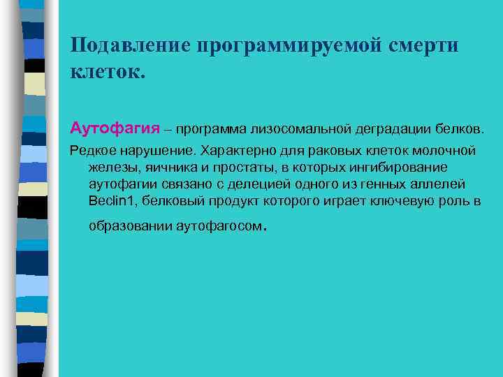 Подавление программируемой смерти клеток. Аутофагия – программа лизосомальной деградации белков. Редкое нарушение. Характерно для