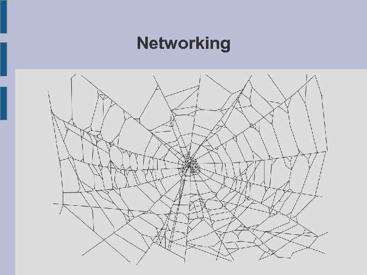 Networking 