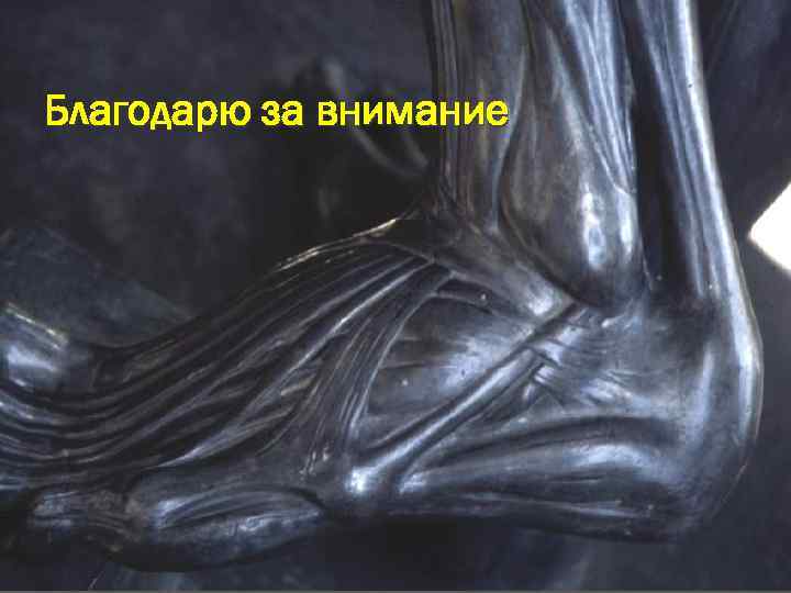 Благодарю за внимание 