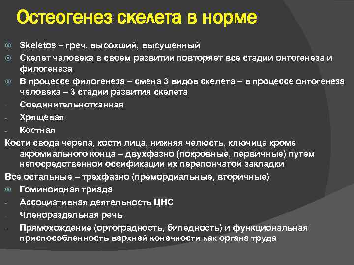 Остеогенез скелета в норме Skeletos – греч. высохший, высушенный Скелет человека в своем развитии