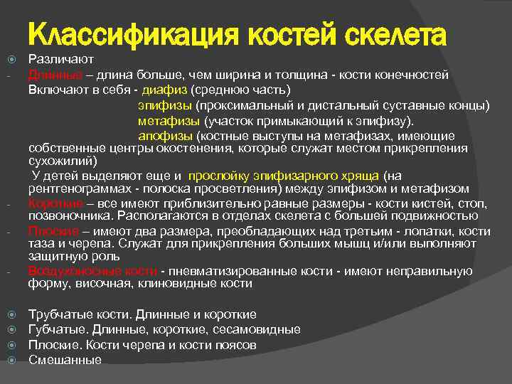Классификация костей скелета Различают Длинные – длина больше, чем ширина и толщина - кости