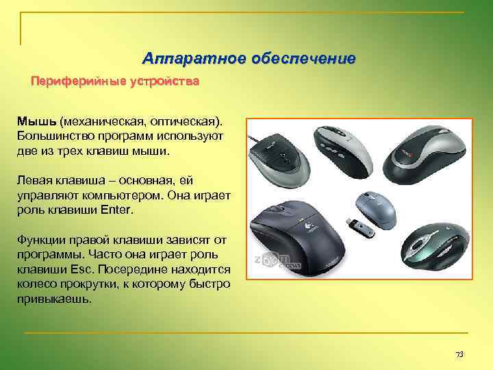 Аппаратное обеспечение Периферийные устройства Мышь (механическая, оптическая). Большинство программ используют две из трех клавиш