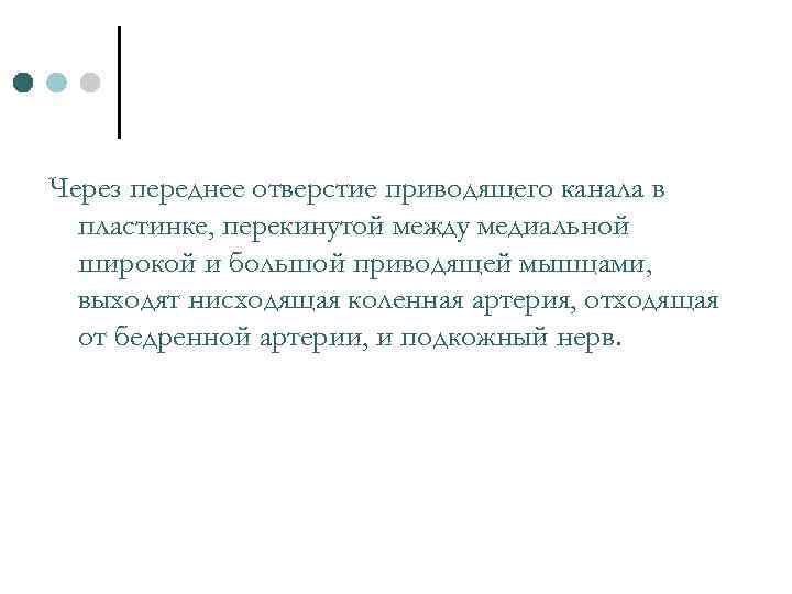 Через переднее отверстие приводящего канала в пластинке, перекинутой между медиальной широкой и большой приводящей