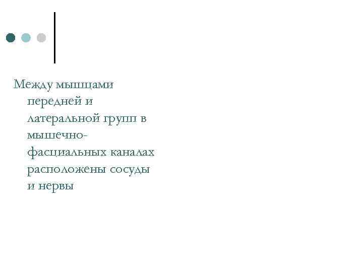 Между мышцами передней и латеральной групп в мышечнофасциальных каналах расположены сосуды и нервы 