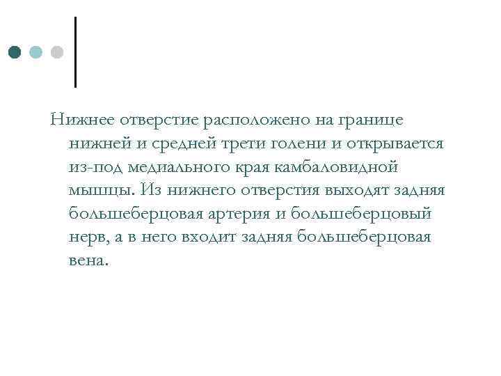 Нижнее отверстие расположено на границе нижней и средней трети голени и открывается из-под медиального