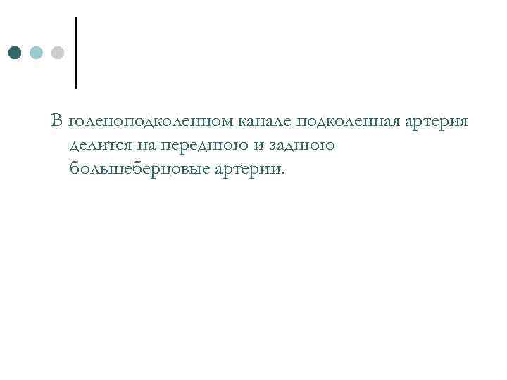 В голеноподколенном канале подколенная артерия делится на переднюю и заднюю большеберцовые артерии. 