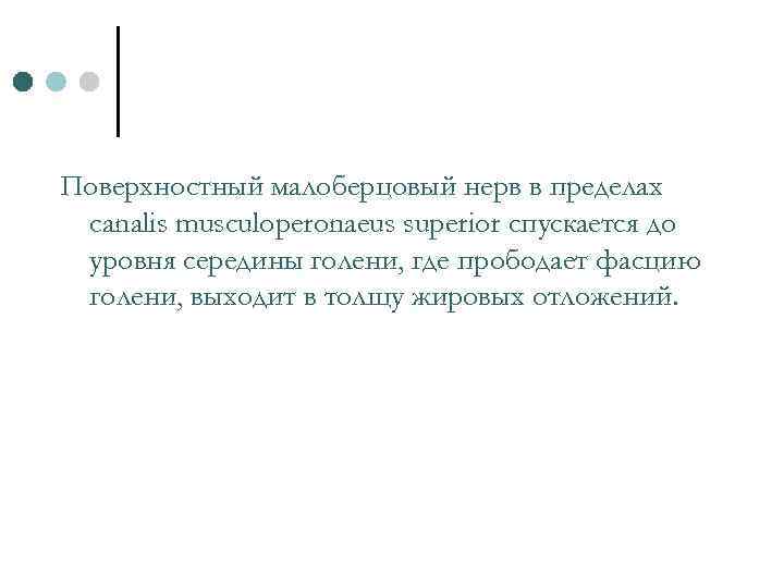 Поверхностный малоберцовый нерв в пределах canalis musculoperonaeus superior спускается до уровня середины голени, где