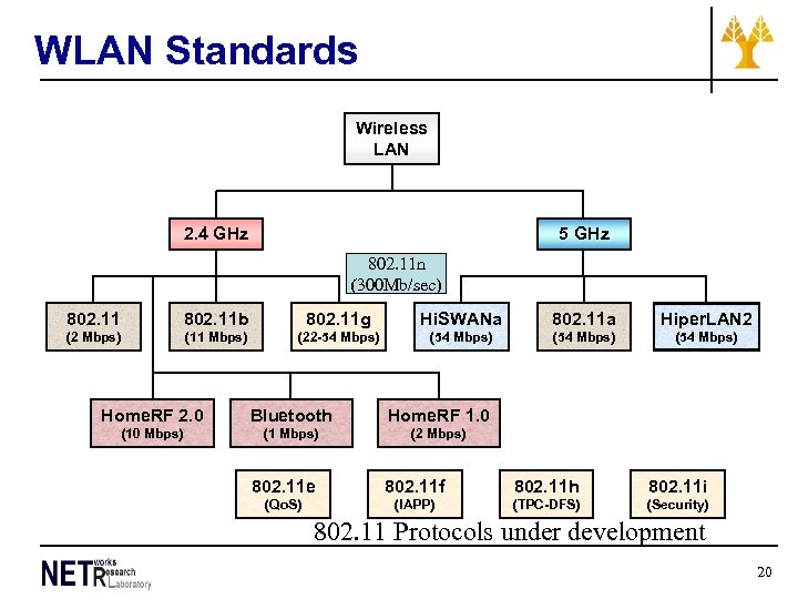 WLAN Standards Wireless LAN 2. 4 GHz 5 GHz 802. 11 n (300 Mb/sec)