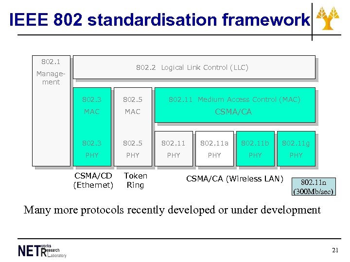 IEEE 802 standardisation framework 802. 1 802. 2 Logical Link Control (LLC) Management 802.