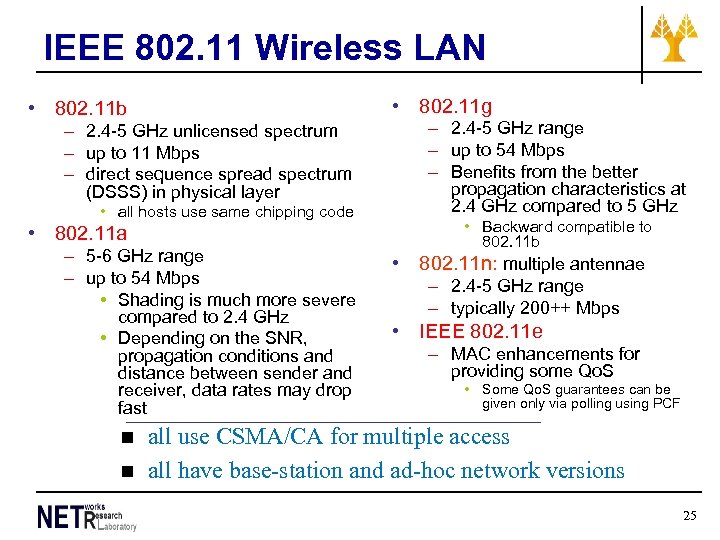 IEEE 802. 11 Wireless LAN • 802. 11 g • 802. 11 b –