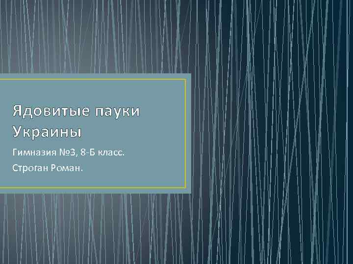 Ядовитые пауки Украины Гимназия № 3, 8 -Б класс. Строган Роман. 