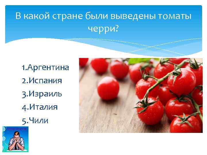 В какой стране были выведены томаты черри? 1. Аргентина 2. Испания 3. Израиль 4.