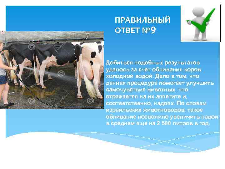 ПРАВИЛЬНЫЙ ОТВЕТ № 9 Добиться подобных результатов удалось за счет обливания коров холодной водой.