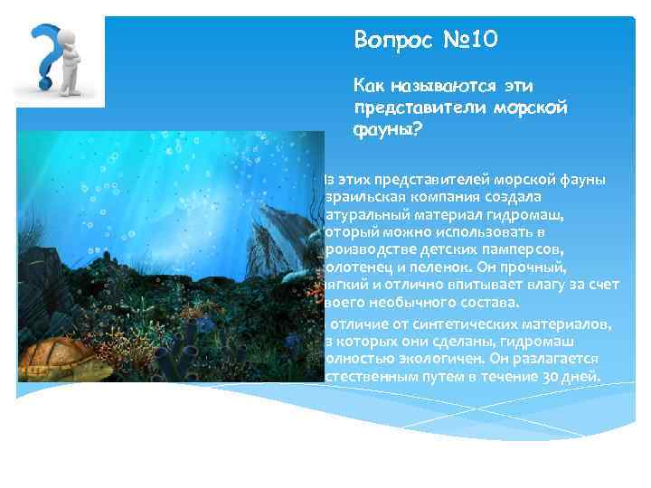 Вопрос № 10 Как называются эти представители морской фауны? Из этих представителей морской фауны