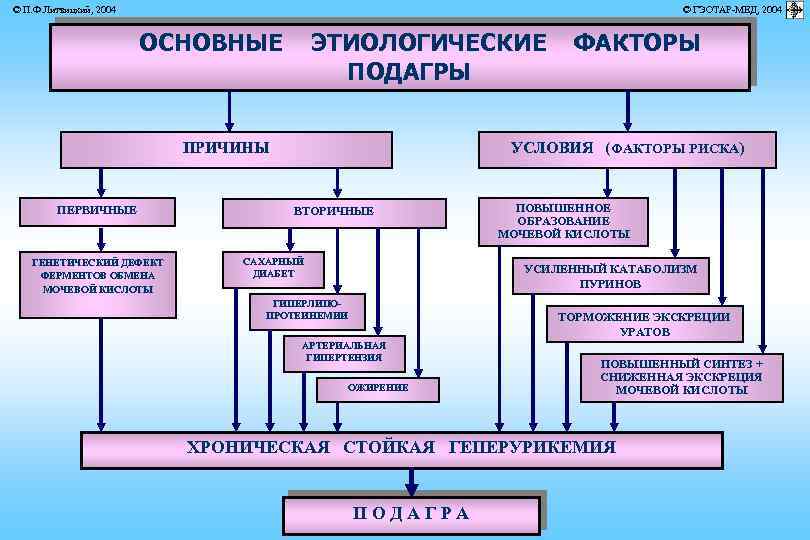 © П. Ф. Литвицкий, 2004 © ГЭОТАР-МЕД, 2004 ОСНОВНЫЕ ЭТИОЛОГИЧЕСКИЕ ПОДАГРЫ ПРИЧИНЫ ПЕРВИЧНЫЕ ГЕНЕТИЧЕСКИЙ