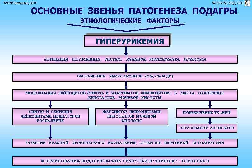 © П. Ф. Литвицкий, 2004 © ГЭОТАР-МЕД, 2004 ОСНОВНЫЕ ЗВЕНЬЯ ПАТОГЕНЕЗА ПОДАГРЫ ЭТИОЛОГИЧЕСКИЕ ФАКТОРЫ