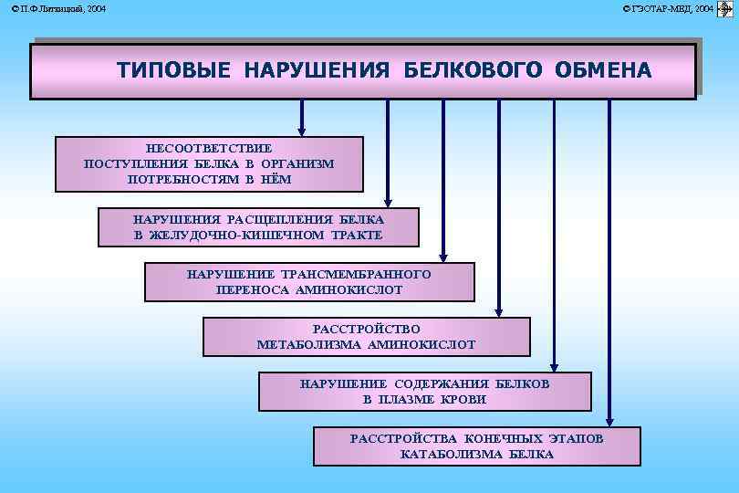 © П. Ф. Литвицкий, 2004 © ГЭОТАР-МЕД, 2004 ТИПОВЫЕ НАРУШЕНИЯ БЕЛКОВОГО ОБМЕНА НЕСООТВЕТСТВИЕ ПОСТУПЛЕНИЯ