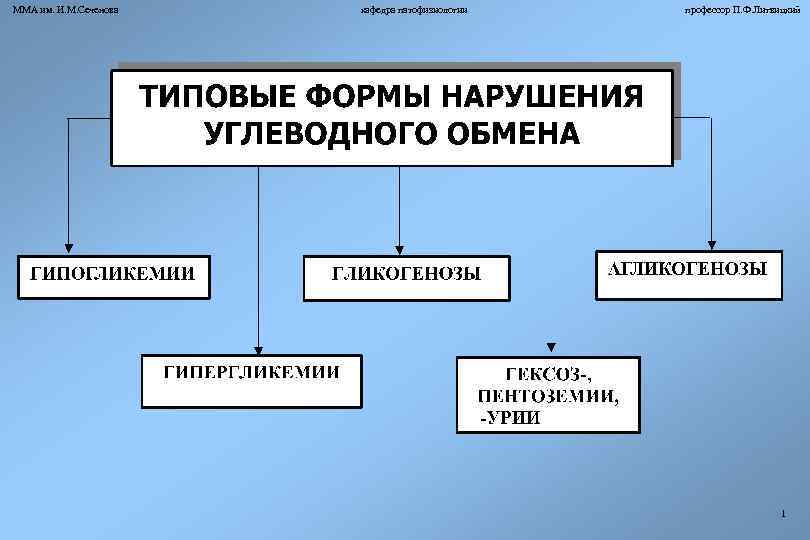 ММА им. И. М. Сеченова кафедра патофизиологии профессор П. Ф. Литвицкий 1 