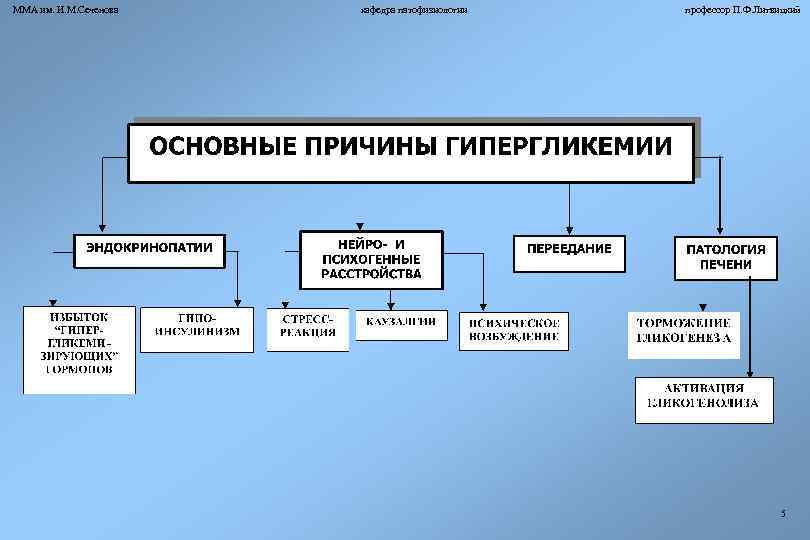 ММА им. И. М. Сеченова кафедра патофизиологии профессор П. Ф. Литвицкий 5 