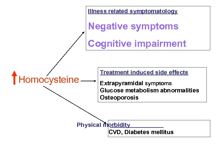 Illness related symptomatology Negative symptoms Cognitive impairment Homocysteine Treatment induced side effects Extrapyramidal symptoms