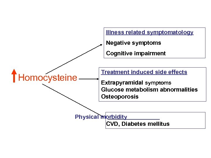 Illness related symptomatology Negative symptoms Cognitive impairment Homocysteine Treatment induced side effects Extrapyramidal symptoms