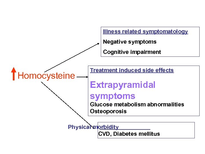 Illness related symptomatology Negative symptoms Cognitive impairment Homocysteine Treatment induced side effects Extrapyramidal symptoms