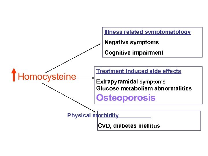Illness related symptomatology Negative symptoms Cognitive impairment Homocysteine Treatment induced side effects Extrapyramidal symptoms