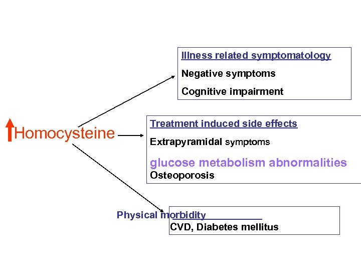 Illness related symptomatology Negative symptoms Cognitive impairment Homocysteine Treatment induced side effects Extrapyramidal symptoms