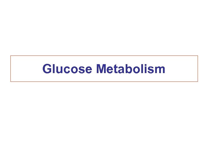 Glucose Metabolism 