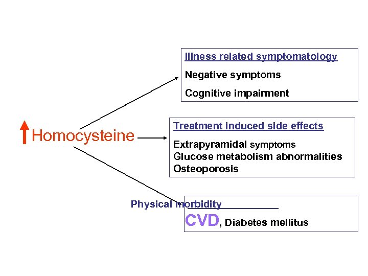 Illness related symptomatology Negative symptoms Cognitive impairment Homocysteine Treatment induced side effects Extrapyramidal symptoms