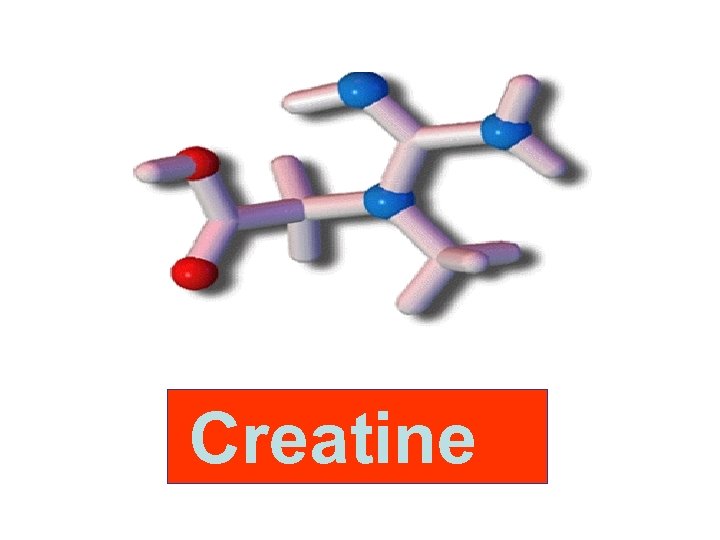 Creatine 